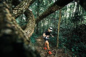 BIB: 
                            <button type="button" onclick="openModal(25394367)" class="btn btn-primary btn-sm float-right btn-popup" data-toggle="modal" data-target=".modal-high-quality">
                        <i class="fas fa-shopping-cart"></i> Add to Cart
                    </button>
                                            <button type="button" onclick="isThisMe(25394367, true)" class="btn btn-success btn-sm float-right btn-popup btn-isme hidden" data-toggle="tooltip" data-placement="bottom" title="นี่คือรูปของคุณใช่ไหม คลิกที่นี่เพื่อเอาเข้าอัลบั้ม">
                        <i class="fas fa-plus"></i> Add to album
                    </button>
                    <button type="button" onclick="isThisMe(25394367, false)" class="btn btn-warning btn-sm float-right btn-popup btn-isnotme hidden">
                        <i class="fas fa-ban"></i> Remove from album
                    </button>